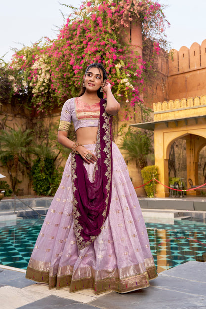 Elegant Woven Grace Lehenga with Royal Paithani Borders and Intricate Embroidery