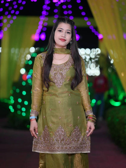 Exclusive New Designer Party Wear Collection for Elegant Celebrations