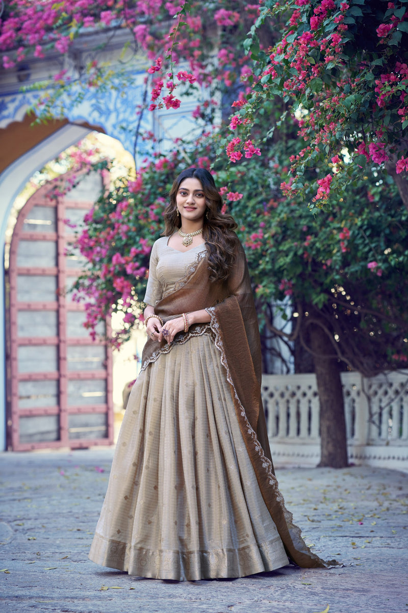 RangBhoomi Chinon Checks Langa Davani Lehenga Set